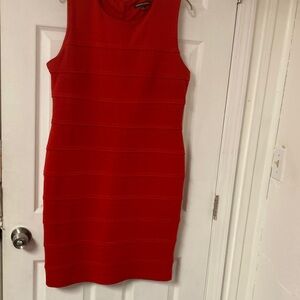 Adrienne Vittadini Scarlet Mini Dress